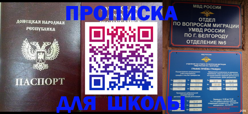 прописка для работы в Малой Вишере